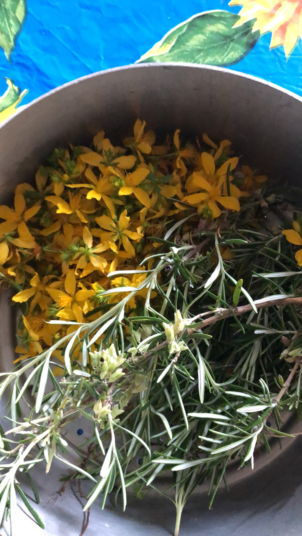 Monica: rifarei la stessa scelta e magari la prossima volta potrei anche fare un parto in&nbsp;casa